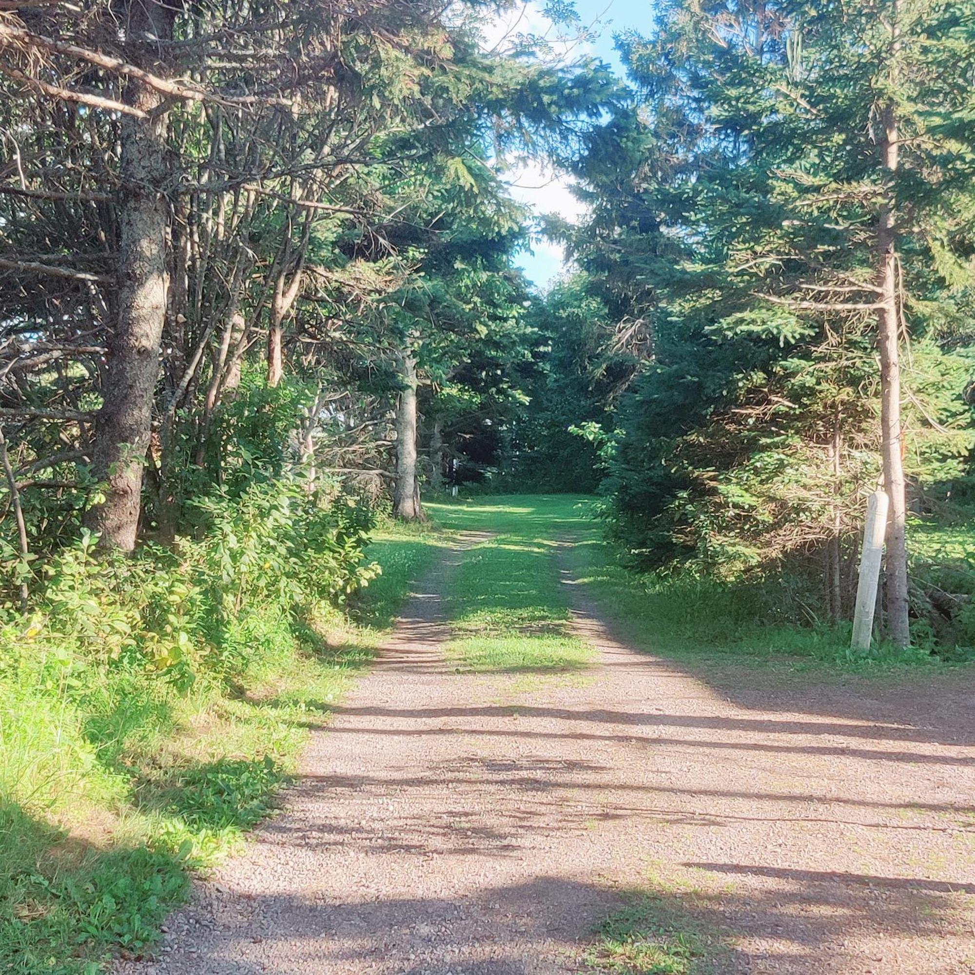 Avonlea Forest Hill Cottages New Glasgow Kültér fotó