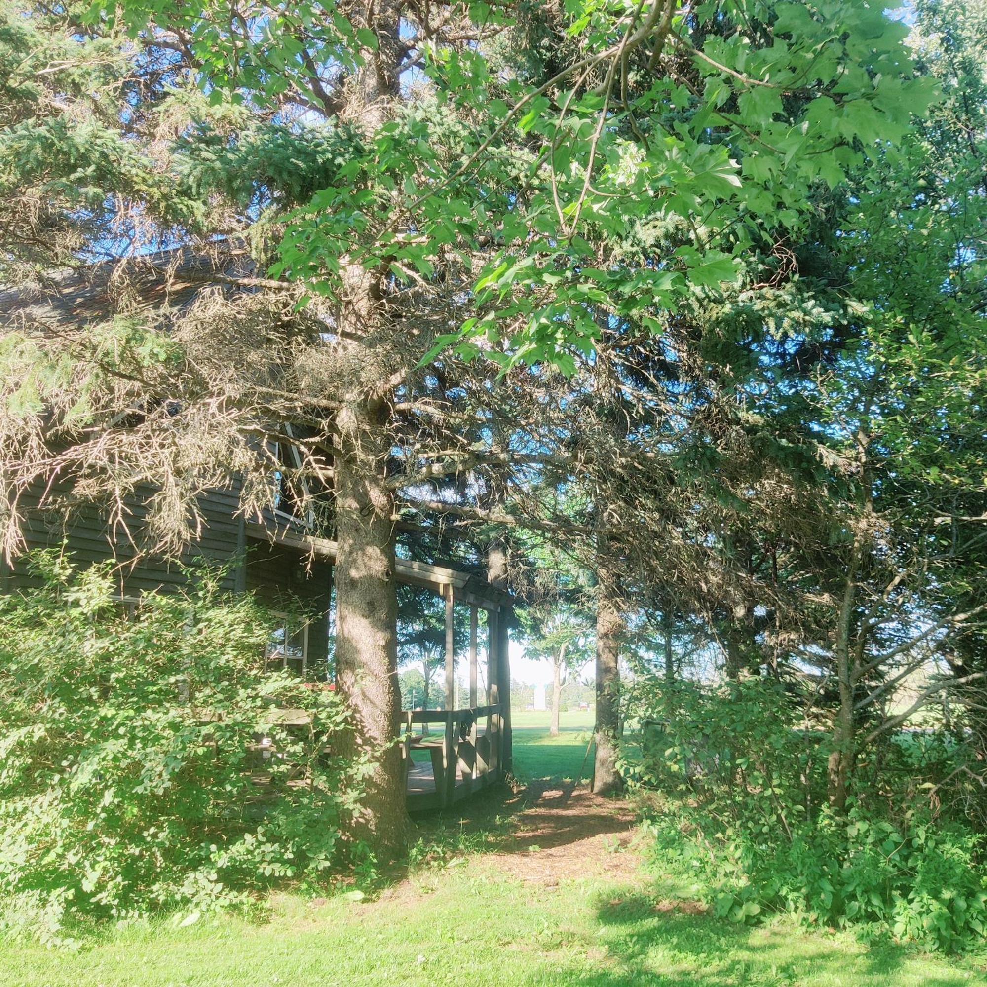 Avonlea Forest Hill Cottages New Glasgow Kültér fotó