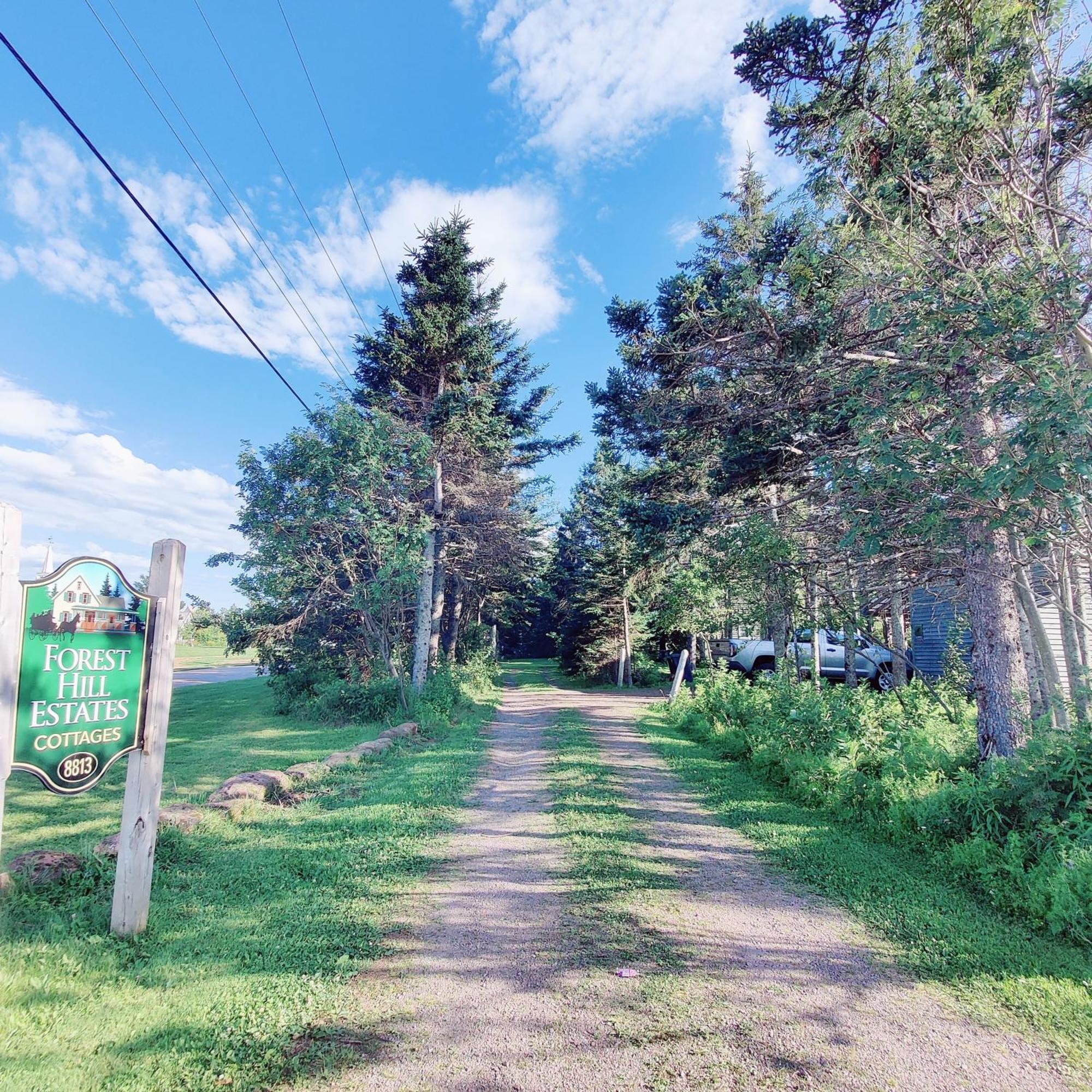Avonlea Forest Hill Cottages New Glasgow Kültér fotó